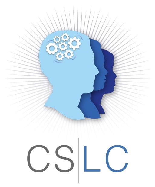 Ari Goldstein - grief counselor in Chicago, IL