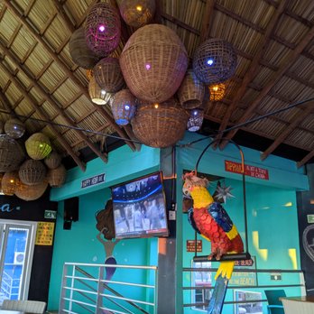 El Oktopus - Inside, upper seating area. - Bars Near Me - Puerto Peñasco, SON El Oktopus - Inside, upper seating area. - Bars Near Me - Puerto Peñasco, SON