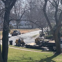 Avery Tree Experts