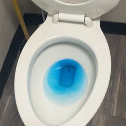 Quest Diagnostics - Blood on seat
