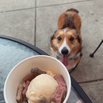 Aglamesis Bros - Dog ice cream - Ice Cream & Frozen Yogurt Near Me - Cincinnati, Ohio Aglamesis Bros - Dog ice cream - Ice Cream & Frozen Yogurt Near Me - Cincinnati, Ohio