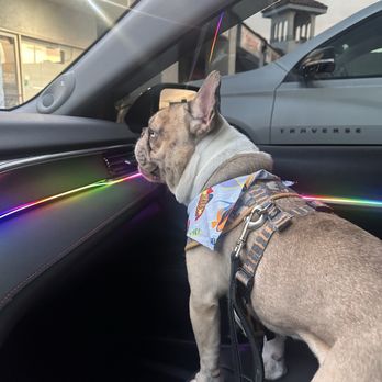 MVP Dog Grooming & Boarding  - Pet Groomers Near Me - Anaheim, California