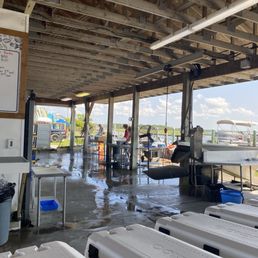 Coolers filled with seafood