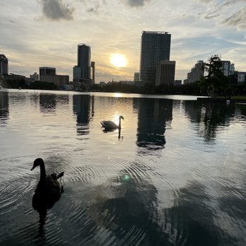 Lake Eola Park - Loved seeing the beautiful sunset! - Parks Near Me - Orlando, Florida