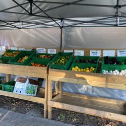 Moscarillo's of West Hartford - Mostly local Farm fresh fruits and veggies for sale in the farmers market in front of the store