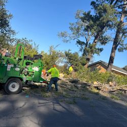 Califa Tree Care - Tree removal in Danville ca