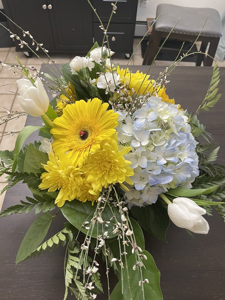 COUNTRY ELEGANCE FLORIST 21 Photos & 23 Reviews 2494 Patterson Rd