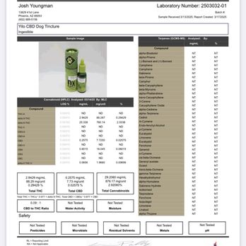 YiLo Superstore - Cannabis Dispensaries Near Me - Phoenix, Arizona