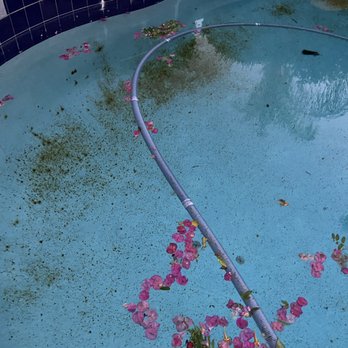 Pink Dolphin Pool Care - Gross - Pool Cleaners Near Me - Peoria, Arizona Pink Dolphin Pool Care - Gross - Pool Cleaners Near Me - Peoria, Arizona