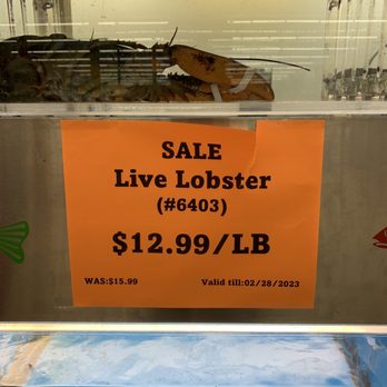 Asian City - Good price until 2.28.23 - Department Stores Near Me - West Jordan, Utah