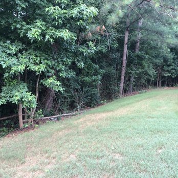 Milam's Tree Service - Large trees n vegetation removed. - Tree Services Near Me - McDonough, Georgia Milam's Tree Service - Large trees n vegetation removed. - Tree Services Near Me - McDonough, Georgia