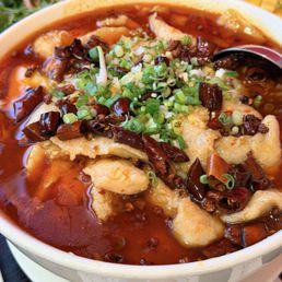 Hot Spicy Fish Fillet / 水煮鱼片 Hot Spicy Fish Fillet / 水煮鱼片