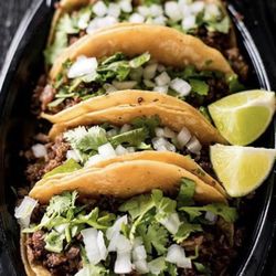 Taco fan