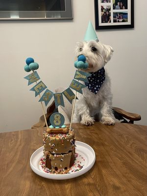 The Seattle Barkery - The Treat Bar
