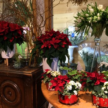 Vivio Flower Gallery - Florists Near Me - Port Moody, British Columbia Vivio Flower Gallery - Florists Near Me - Port Moody, British Columbia