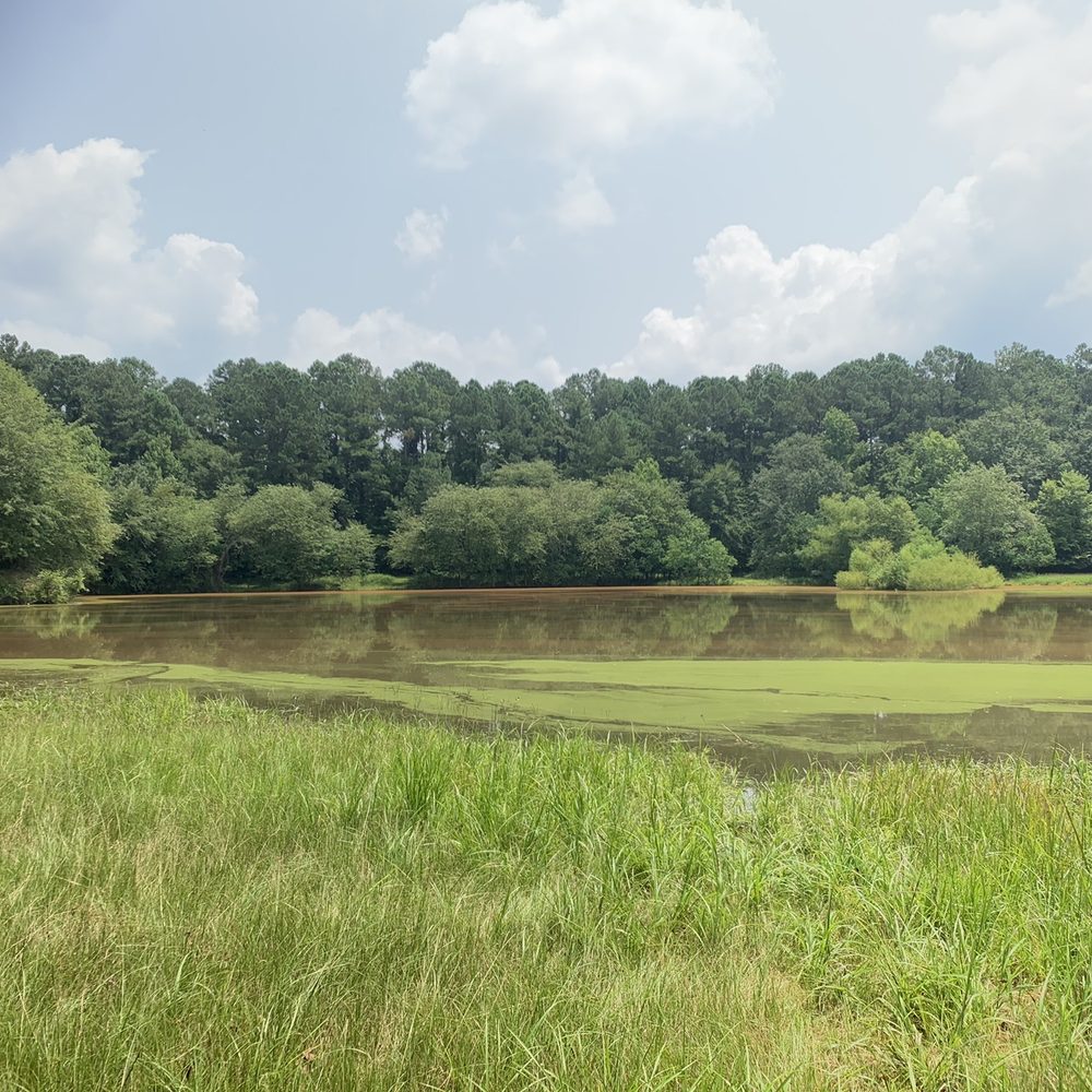 Amerson River Park - Pond Trail - Parks Near Me - Macon, Georgia
