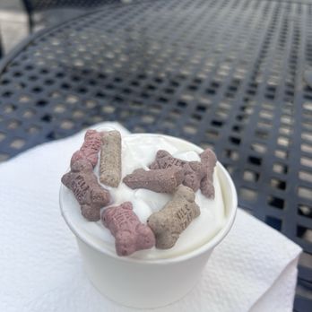 Conie's Ice Cream - Pup Cup - Ice Cream & Frozen Yogurt Near Me - Fruit Cove, Florida