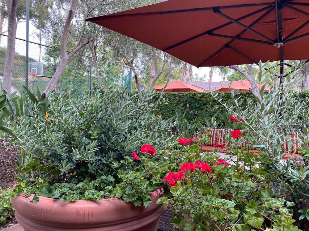 ALISO TOWN CENTER APARTMENT HOMES 32 Photos & 57 Reviews 23511