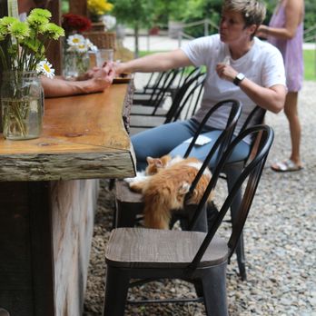 June Farms - Pizza kitchen counter - Pizza Near Me - West Sand Lake, New York June Farms - Pizza kitchen counter - Pizza Near Me - West Sand Lake, New York