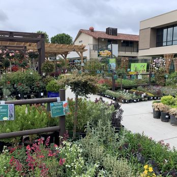 Armstrong Garden Centers - Floral section - Nurseries & Gardening Near Me - Tustin, California Armstrong Garden Centers - Floral section - Nurseries & Gardening Near Me - Tustin, California