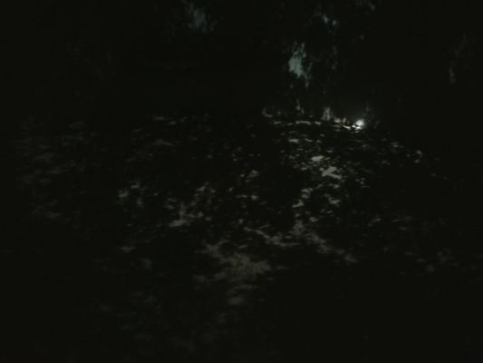 Cloud Chamber for the Trees and Sky by null