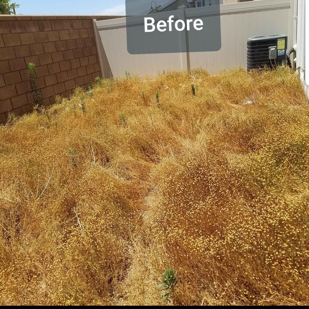 Vision Turf & Pavers - Artificial Turf Near Me - Orange, California Vision Turf & Pavers - Artificial Turf Near Me - Orange, California