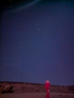 Dark Ranger Telescope Tours by null