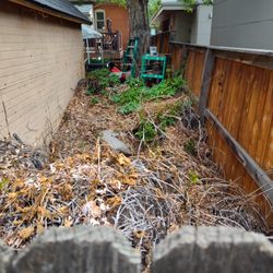 TLC Land Care