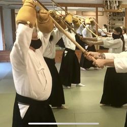 Sakura Budokan