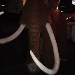 Photo of The Woolly Mammoth Alehouse - There is actually a giant stuffed mammoth...