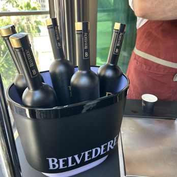 Osa Rooftop - Bars Near Me - Pasadena, California Osa Rooftop - Bars Near Me - Pasadena, California