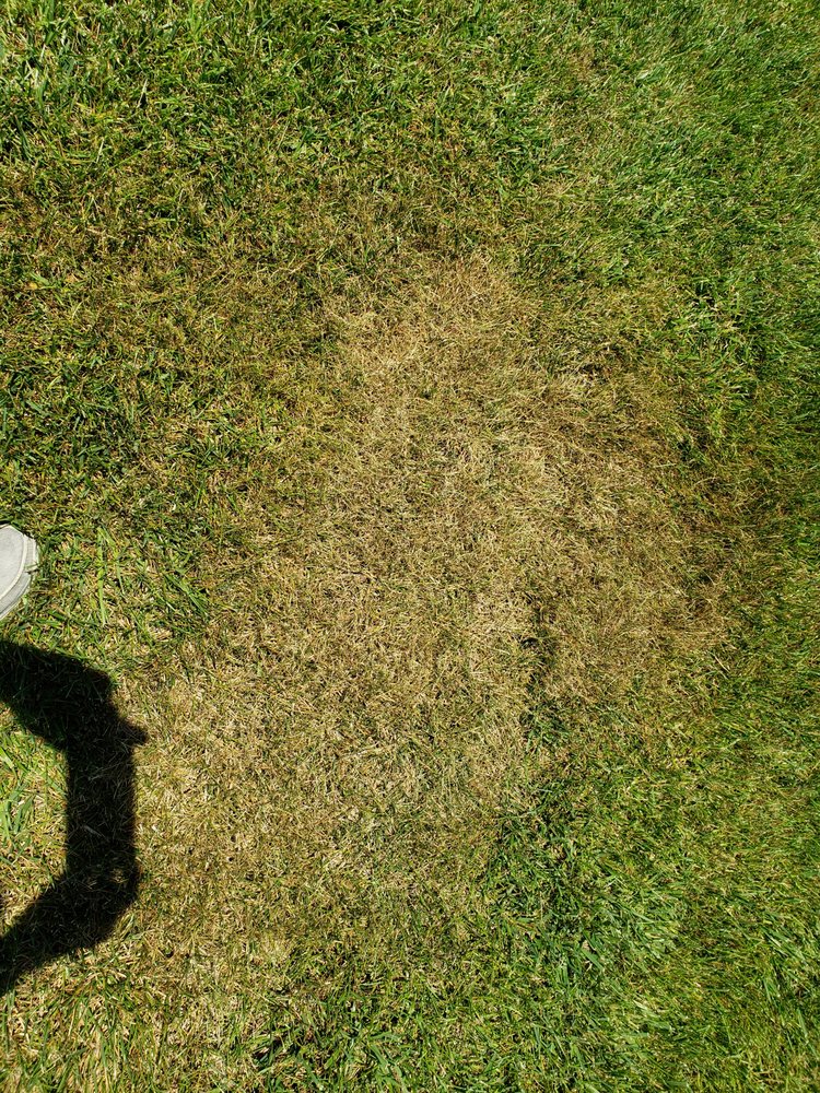 Slide of Water Color Irrigation