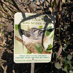 Ballona Discovery Park