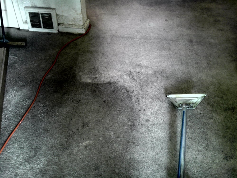 DLUX CARPET CLEANING 11 Reviews Carpet Cleaning Philadelphia, PA