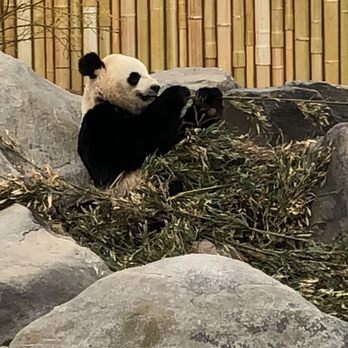 Toronto Zoo - Zoos Near Me - Toronto, Ontario Toronto Zoo - Zoos Near Me - Toronto, Ontario