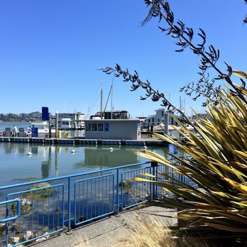 Fish - Seafood Near Me - Sausalito, California