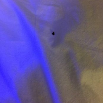 Marriott Melville Long Island - BED BUGS Beware - Hotels Near Me - Melville, New York Marriott Melville Long Island - BED BUGS Beware - Hotels Near Me - Melville, New York