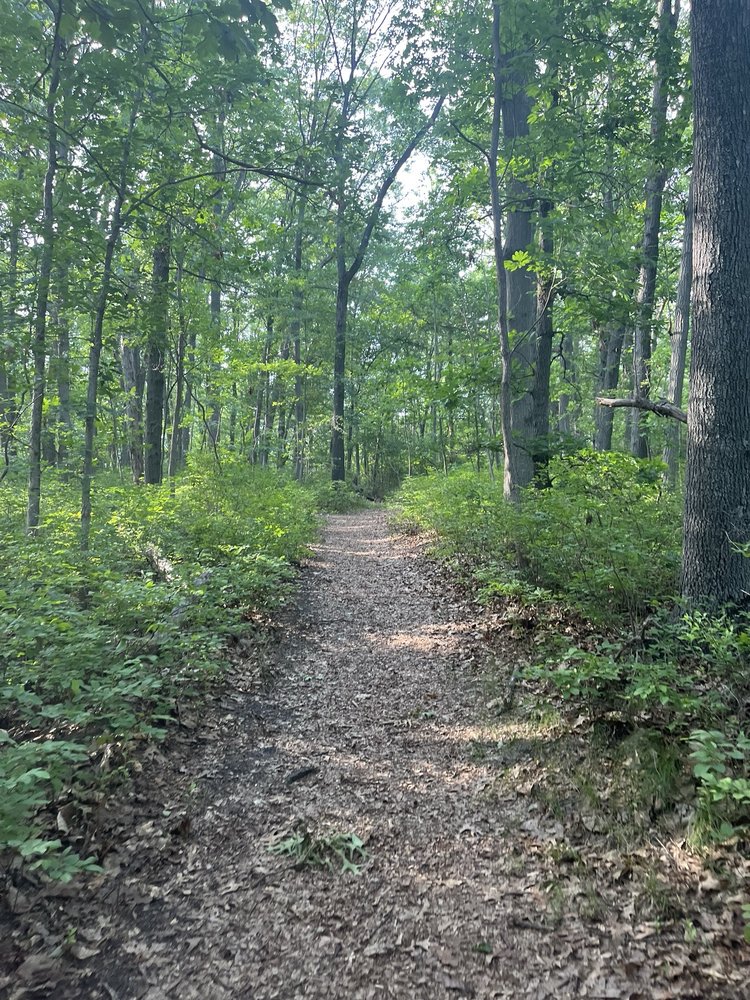 Weltz Conservation Area Logo