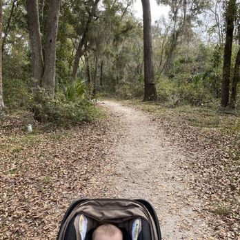 Alejandro Garces Camp Tomahawk Park - Stroller friendly - Hiking Near Me - Jacksonville, Florida Alejandro Garces Camp Tomahawk Park - Stroller friendly - Hiking Near Me - Jacksonville, Florida
