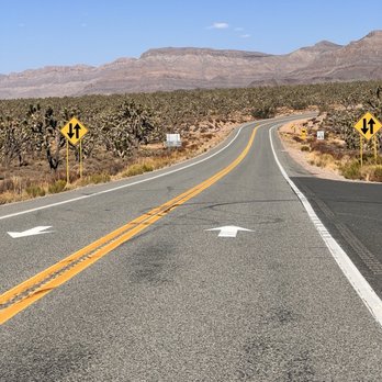 Arizona's Joshua Tree Forest - Parks Near Me