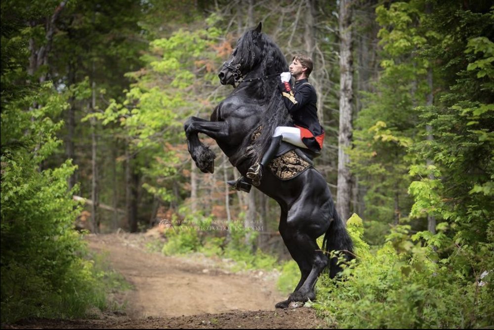 Horse Kingdom - equestrian in Hawthorne, FL