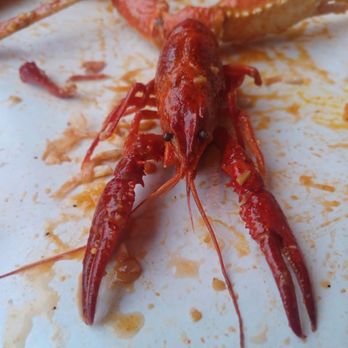 The Blazin’ Claw - Food fun - Crawfish with crab - Seafood Near Me - Norwalk, California The Blazin’ Claw - Food fun - Crawfish with crab - Seafood Near Me - Norwalk, California
