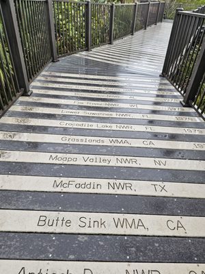 Pelican Island National Wildlife Refuge by null