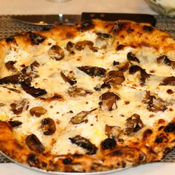 Jolie American Bistro - FUNGI & TRUFFLE PIZZA -
Black Truffles, White Truffle Cream Sauce,
Wild Mushrooms, Fior Di Latte Mozzarella,
Parmigiano Reggiano.