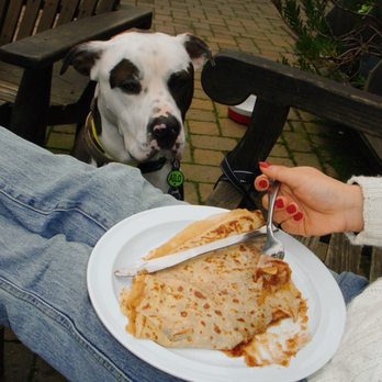Millie's Crepe et Creme - Apple Sauce, Brown Sugar, Cinnamon & Butter Crepe - Creperies Near Me - Mill Valley, California Millie's Crepe et Creme - Apple Sauce, Brown Sugar, Cinnamon & Butter Crepe - Creperies Near Me - Mill Valley, California