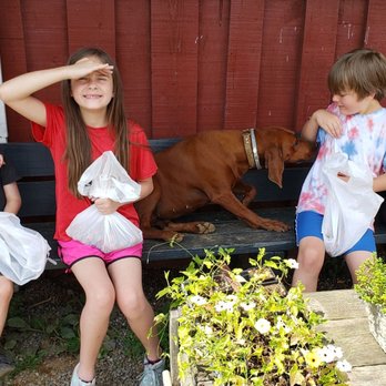 Ten Acre Garden - Coon hound and the kiddos - Pick Your Own Farms Near Me - Canton, North Carolina