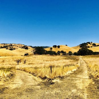 Mount Diablo State Park - Parks Near Me - Clayton, California Mount Diablo State Park - Parks Near Me - Clayton, California