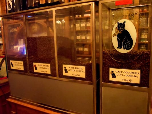 El Gato Negro by null