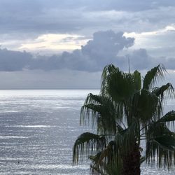 Elihotel - Sunrise after a rain storm