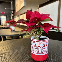 The Exchange Coffee Bar